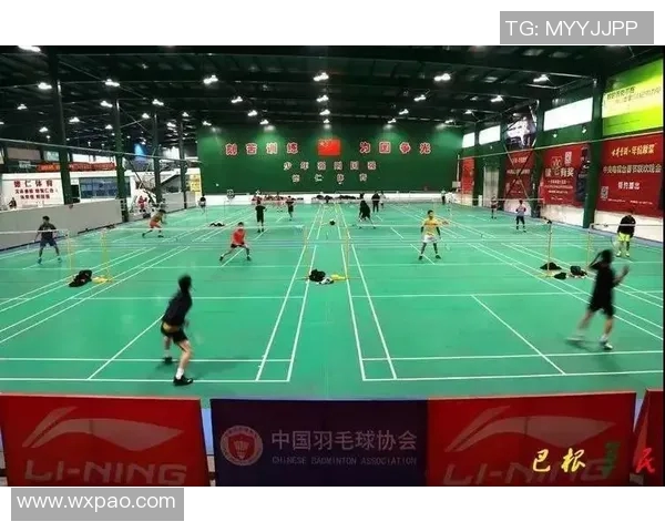 重庆羽毛球队与南京羽毛球队赛后复盘分析比赛经验与战术策略探讨 重庆羽毛球队与南京羽毛球队赛后复盘分析比赛经验与战术策略探讨