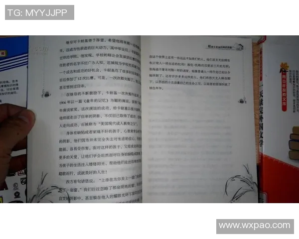 攀登人生的巅峰：杨伟与深度对话的启示与反思