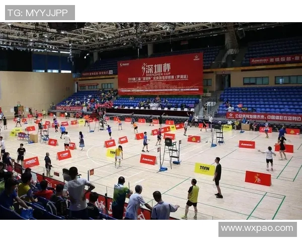 深圳羽毛球队实力飙升力量排名创新高引发关注与期待