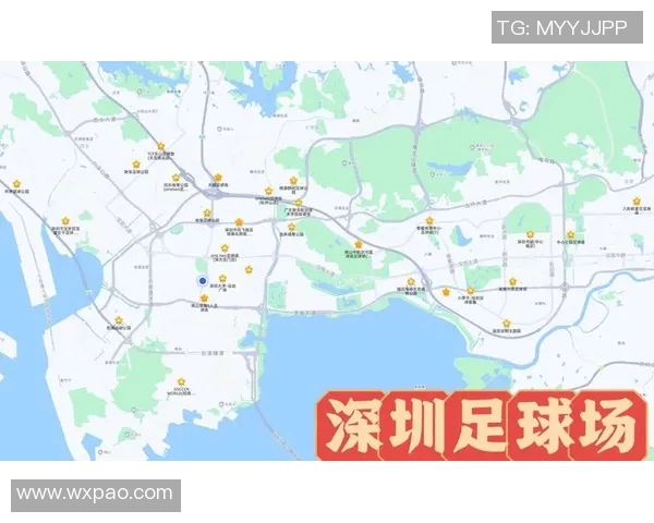 深圳足球队的运营成败分析与未来发展方向探讨