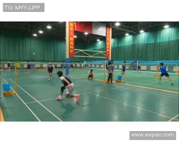 羽毛球心理素质评比揭晓北京羽毛球队荣登第五名榜单