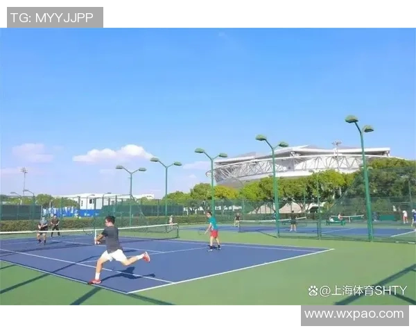 上海网球队的崛起与发展探秘聚焦网球运动的力量与未来