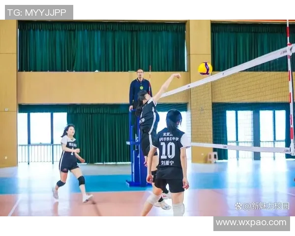 南京排球队逆袭之旅揭秘杯赛背后的拼搏与坚持