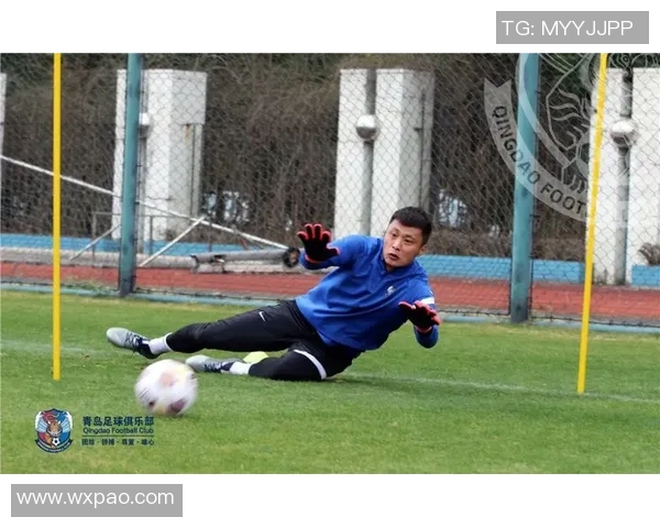 南京网球队的训练与比赛状态全景揭秘，网球巨献带你深入了解他们的拼搏精神