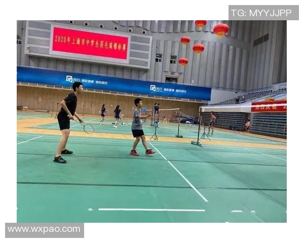 南京羽毛球队阵地战体系解析与战术应用探讨