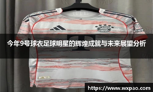 今年9号球衣足球明星的辉煌成就与未来展望分析